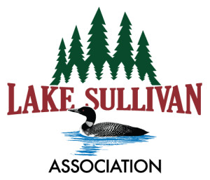 LSA-Association-Logo